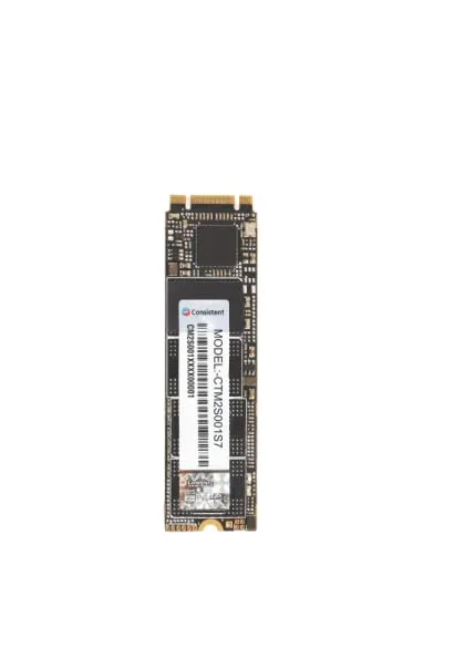Consistent 256GB M.2 NVMe 2280 SSD with PCIe Gen 3.0 interface